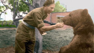 Illustration for article titled When Pets Get Drafted: The Bizarre History of Animal Soldiers